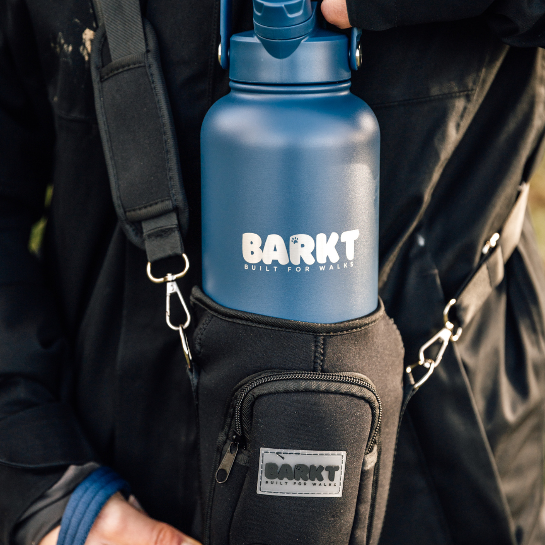 How to Keep Your Dog Hydrated on Walks