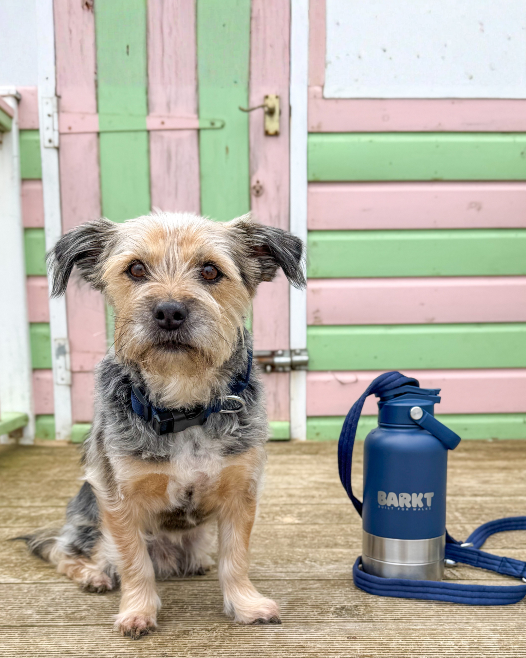 🎄The Barkt Bottle Gift Set - Bottle & Lead