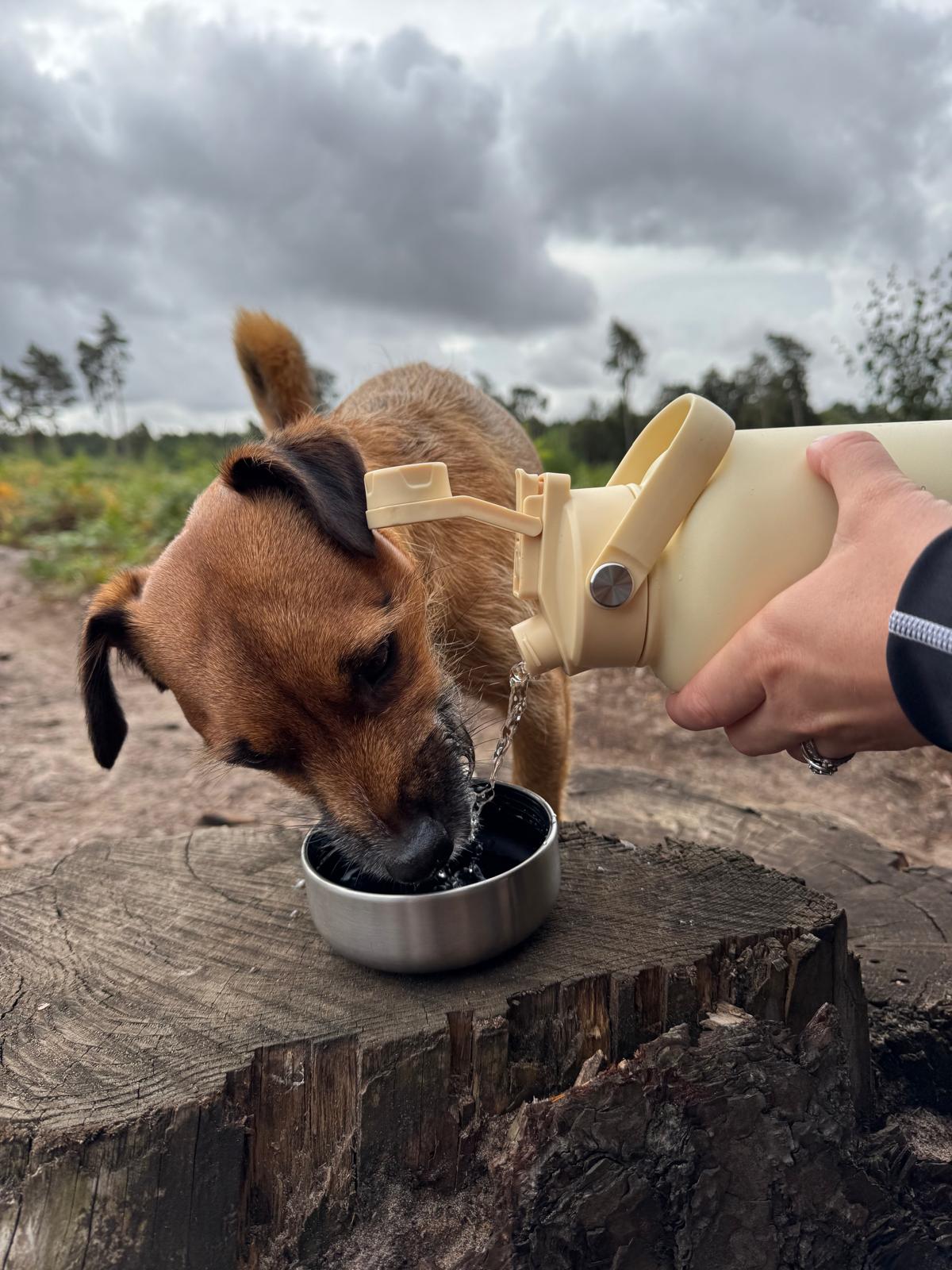 3-in-1 – Barkt Bottle & Bag