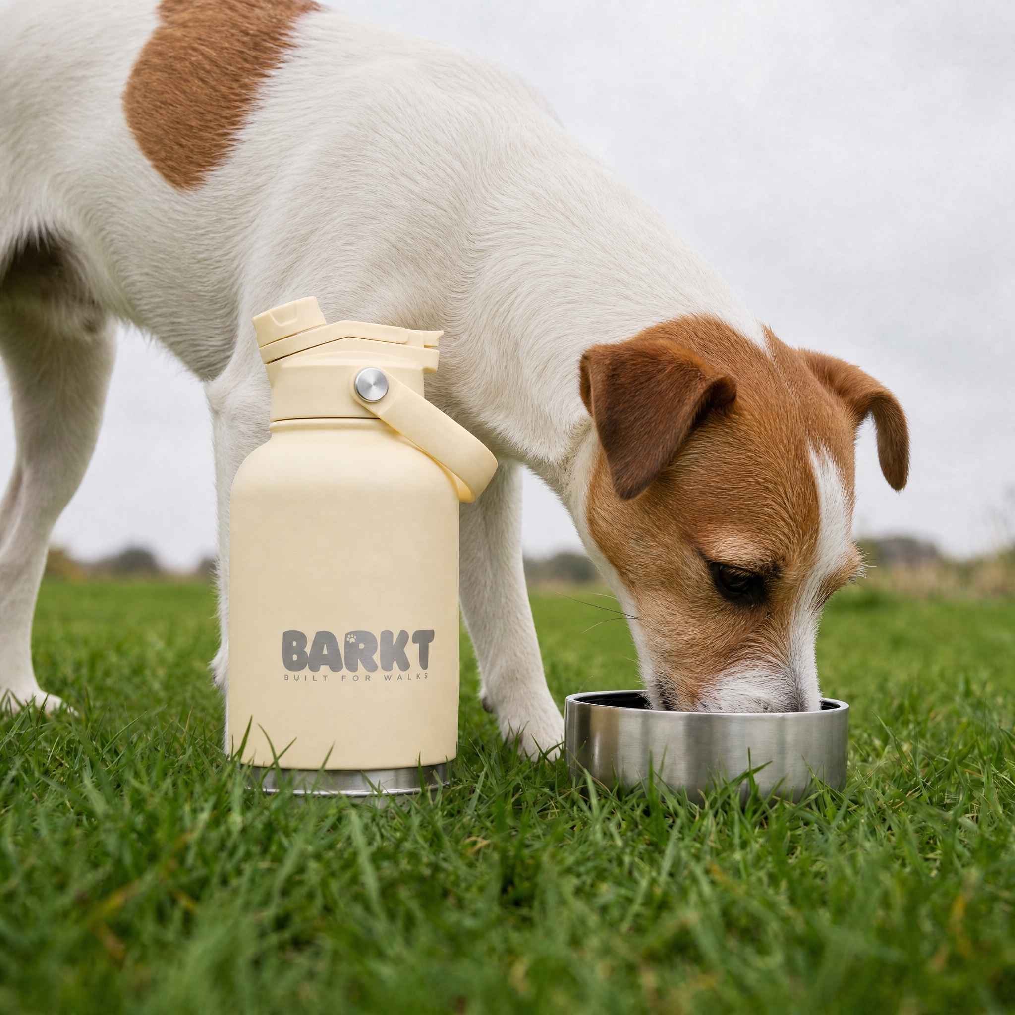 3-in-1 – Barkt Bottle & Bag