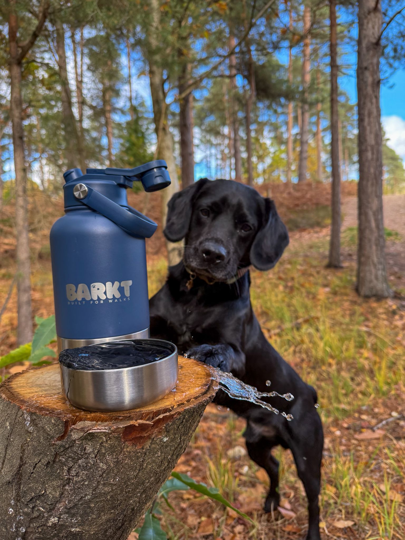 3-in-1 – Barkt Bottle & Bag