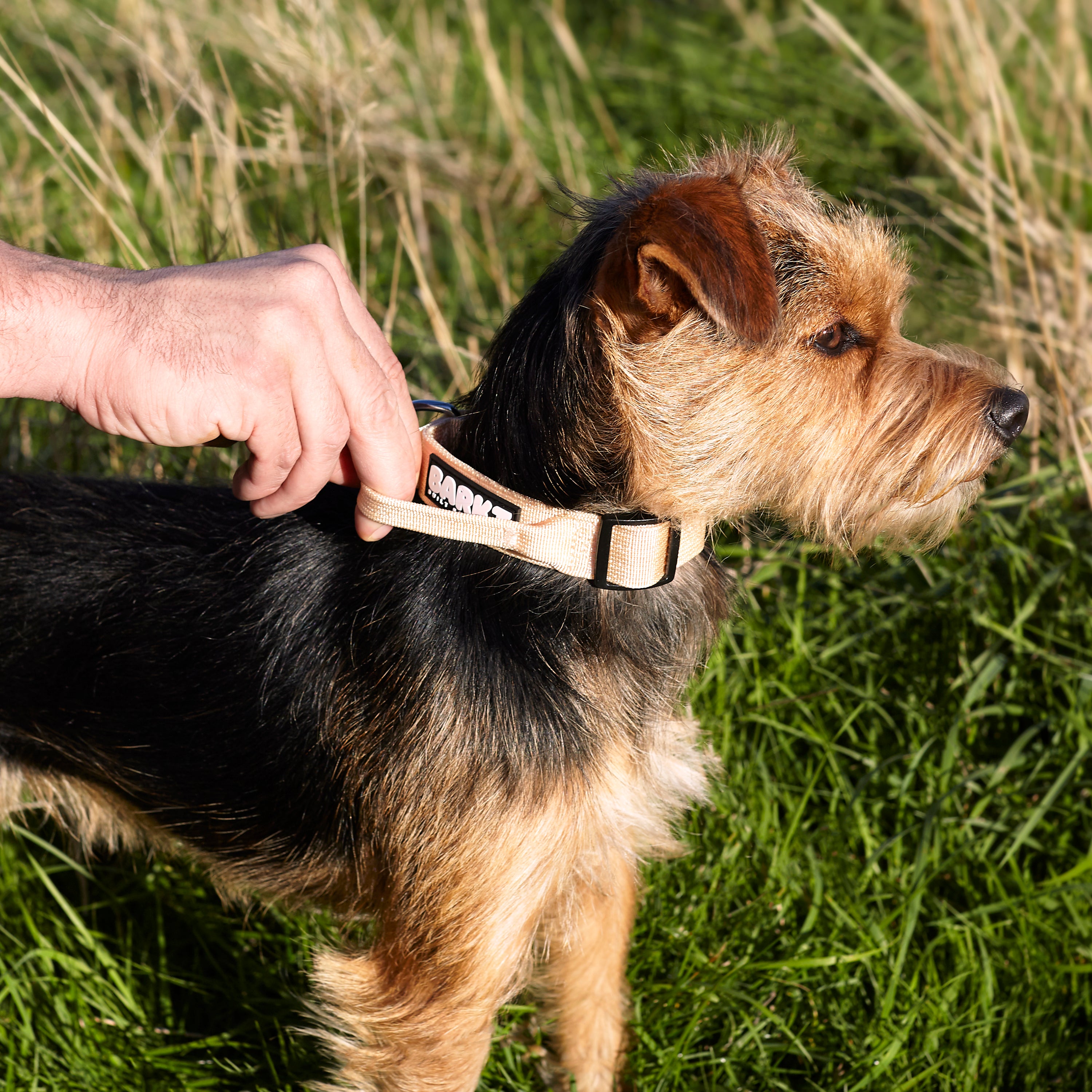 Barkt 2.5cm Grab-Handle Collar