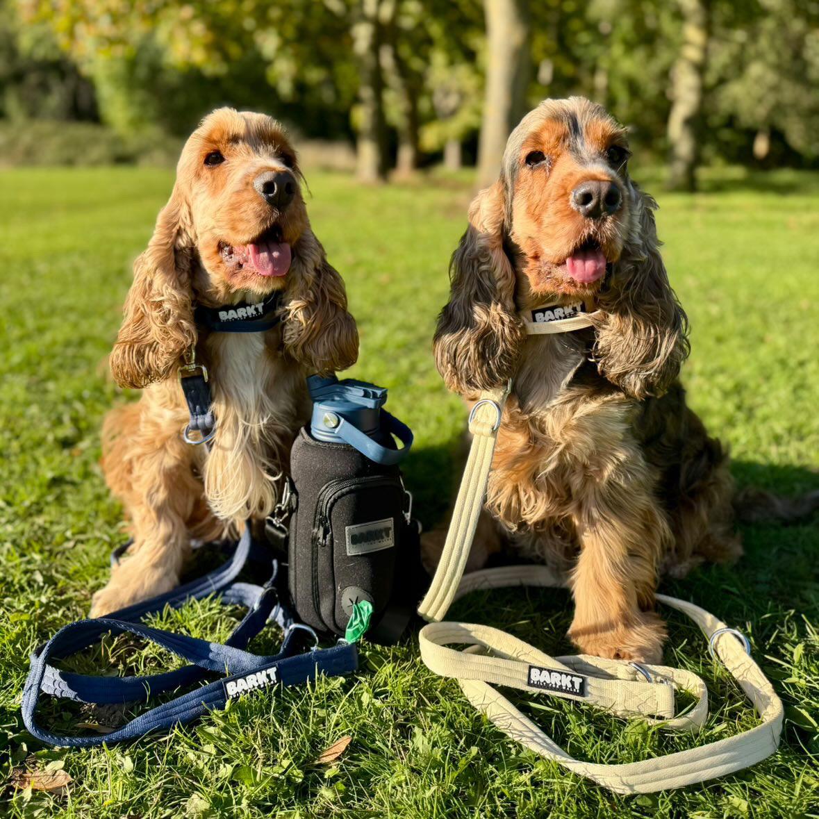 🎅The BIG Barkt Gift Set