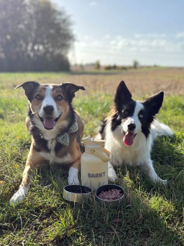 3-in-1 – Barkt Bottle & Bag