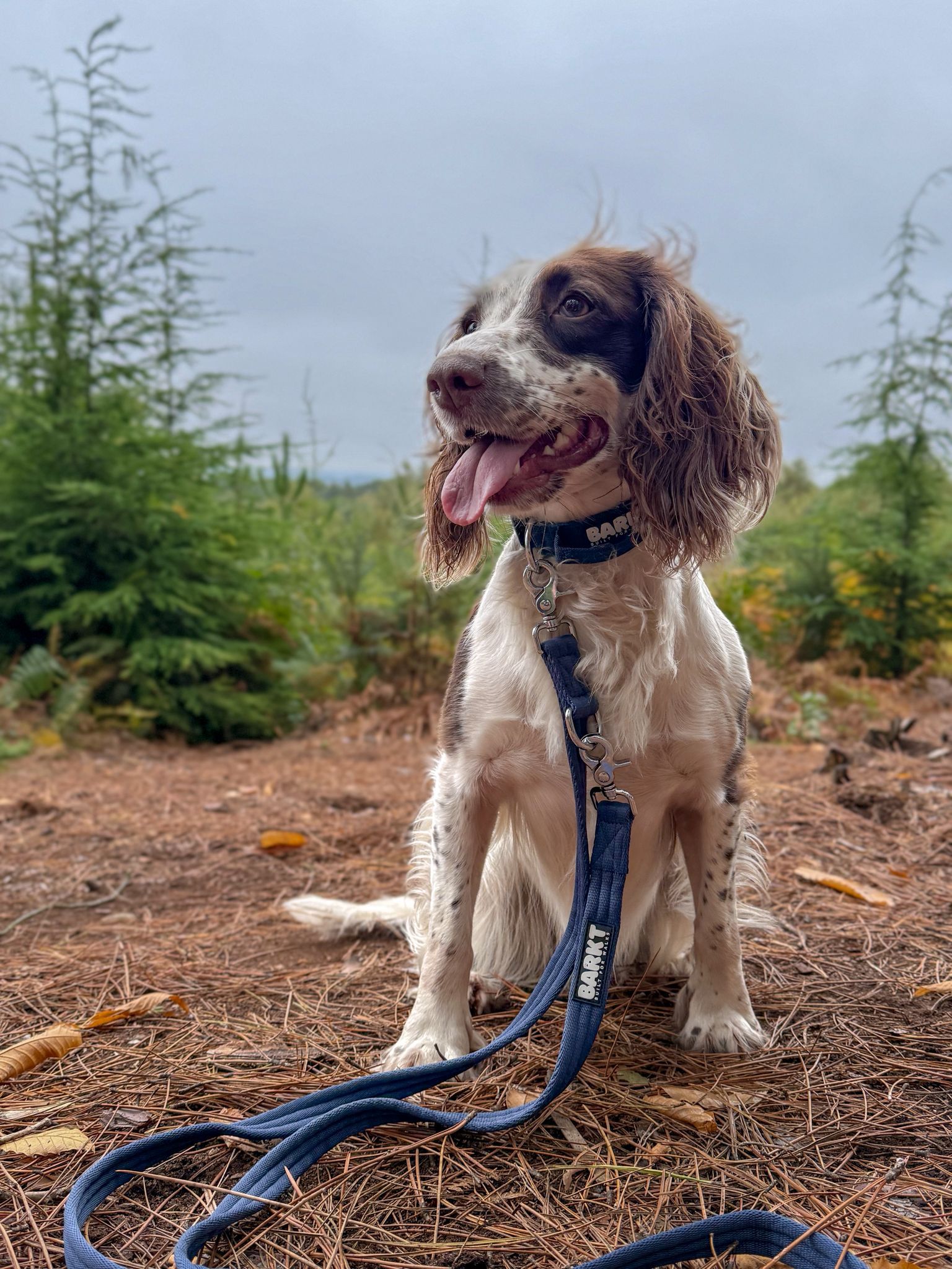 Barkt Double-Ended Lead 2.1m Length