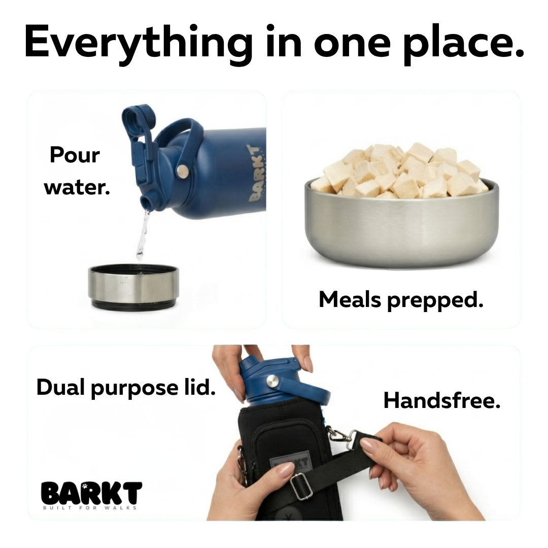 3-in-1 – Barkt Bottle & Bag