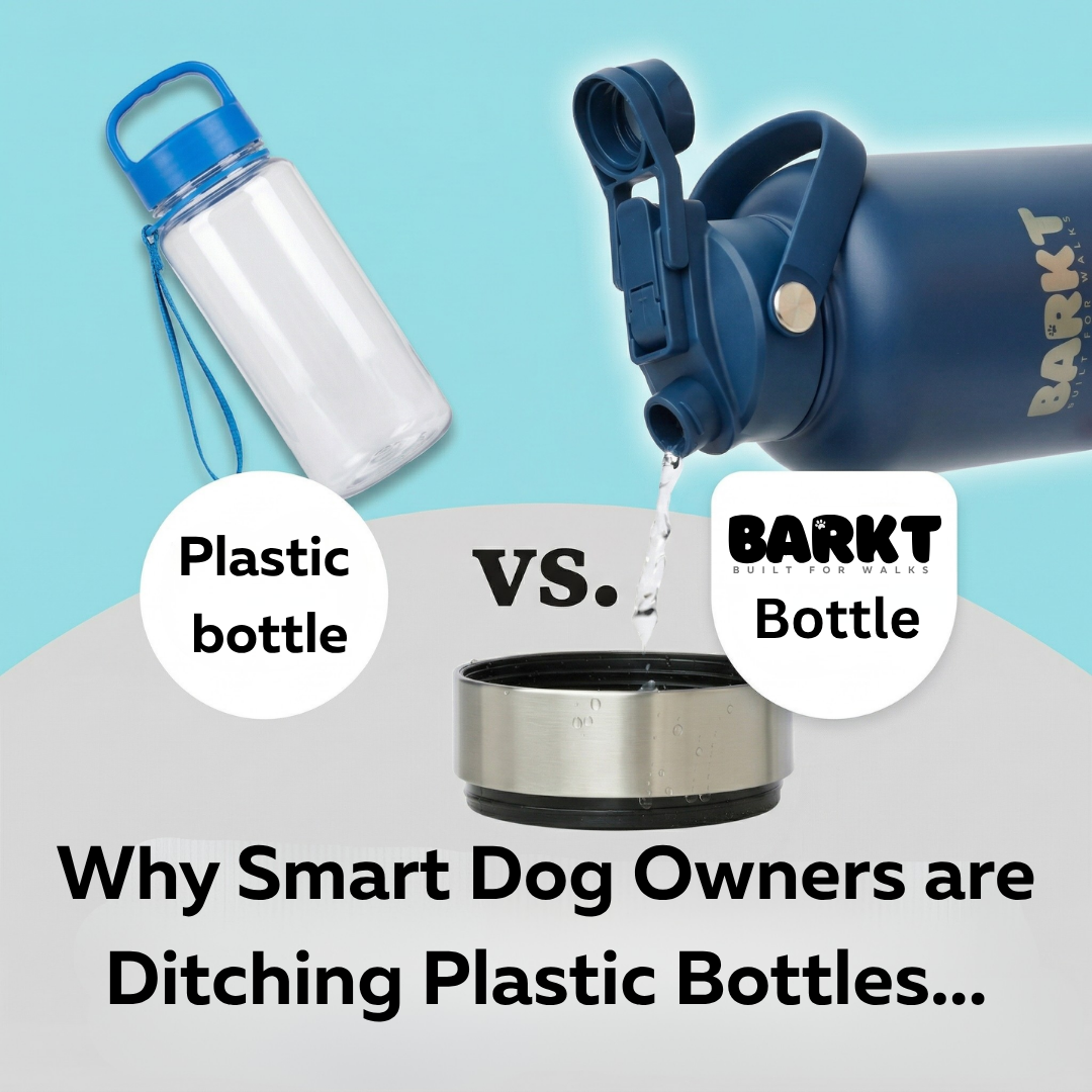 6 Reasons Why Plastic Water Bottles Could Be Harming Your Dog (And Why Stainless Steel Is Better)