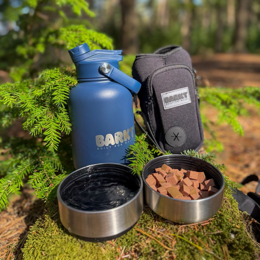 The Best Dog Water Bottle for Walks in the UK: Why the Barkt Bottle Leads the Way