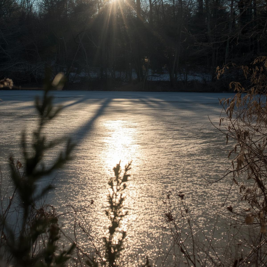 Why Dog Hydration Still Matters in Winter