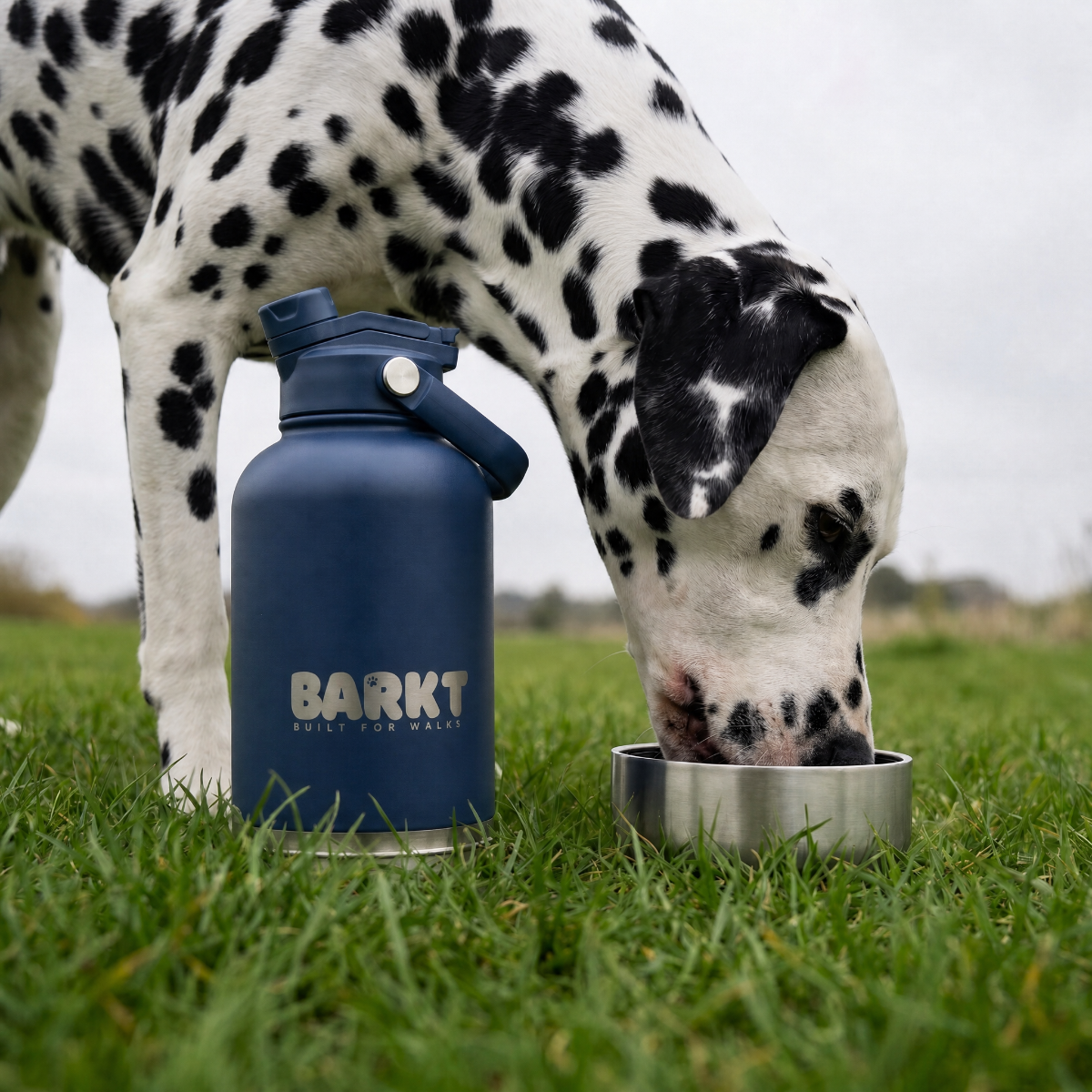 3-in-1 – Barkt Bottle & Bag