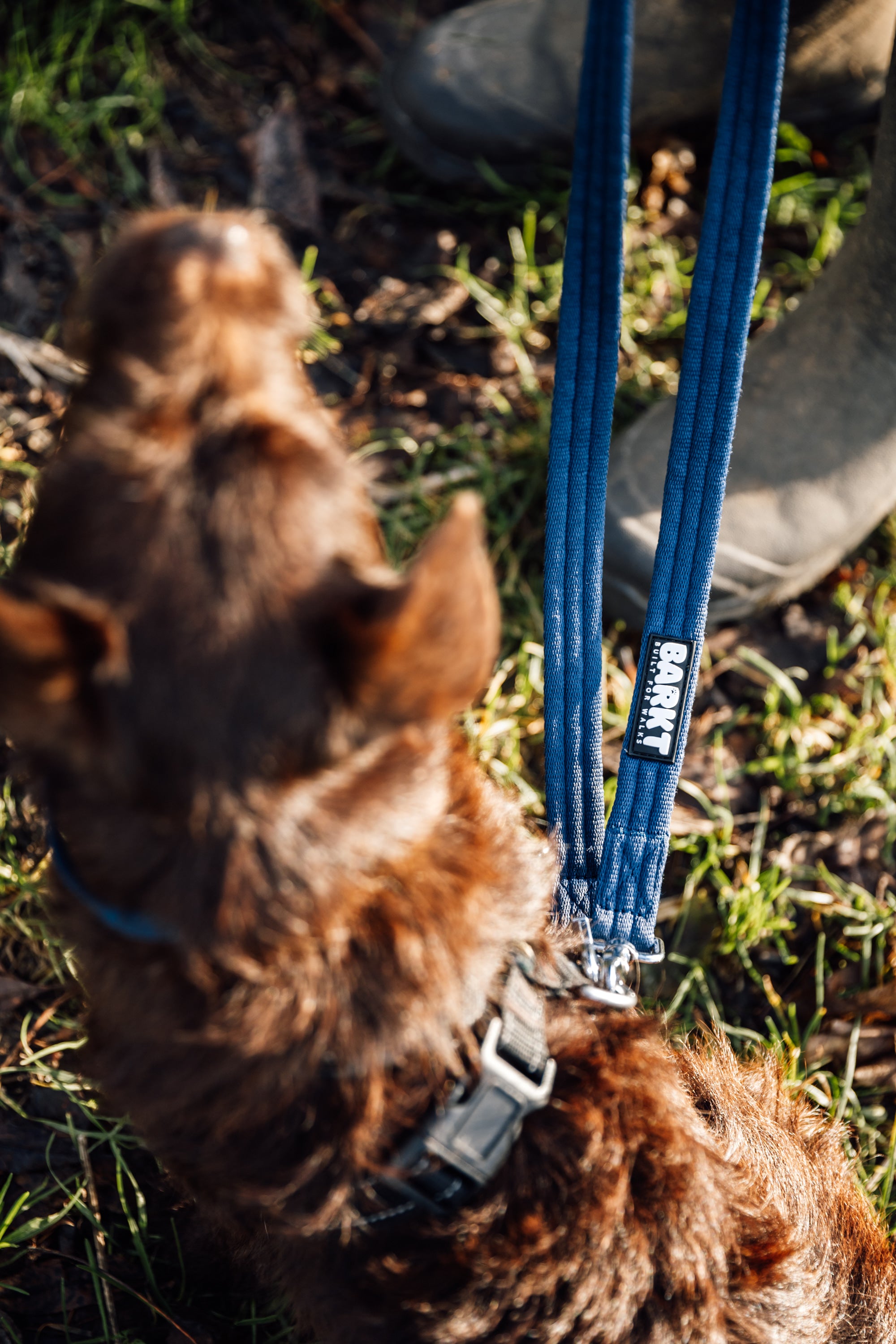 Barkt Double-Ended Lead 2.1m Length