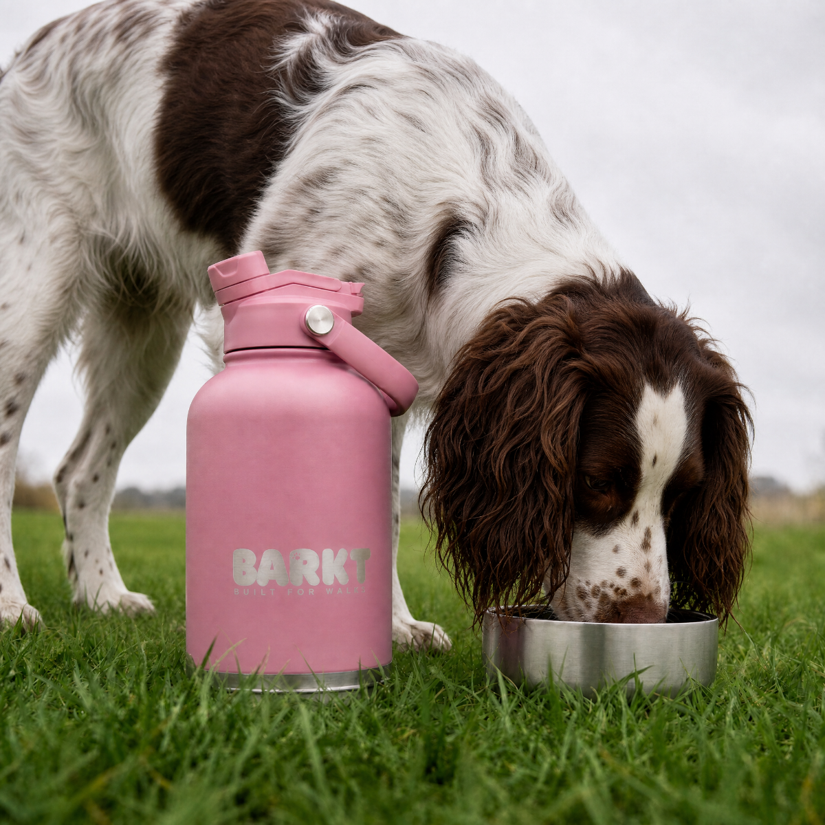 3-in-1 – Barkt Bottle & Bag