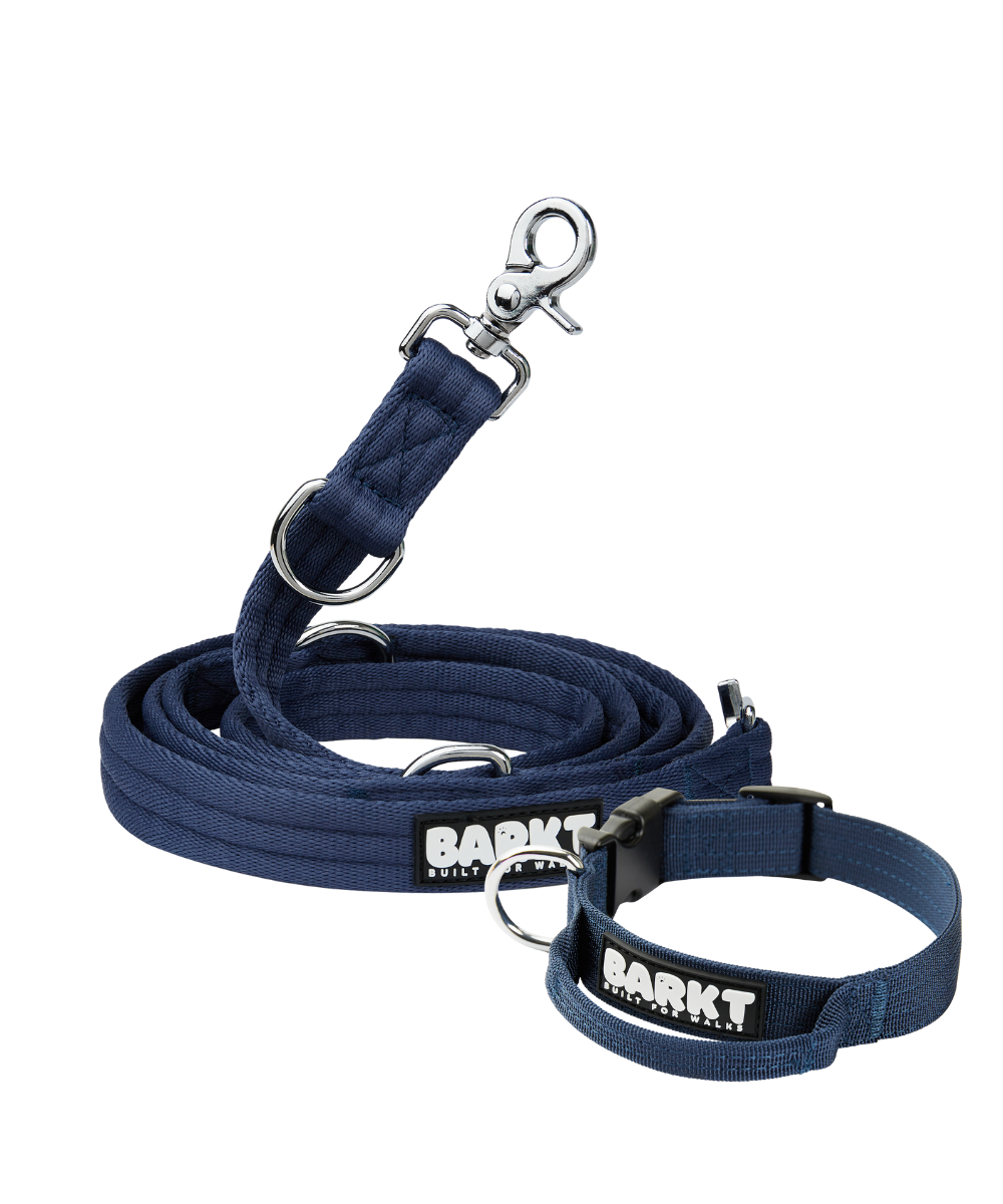 The Barkt Set - Collar & Lead