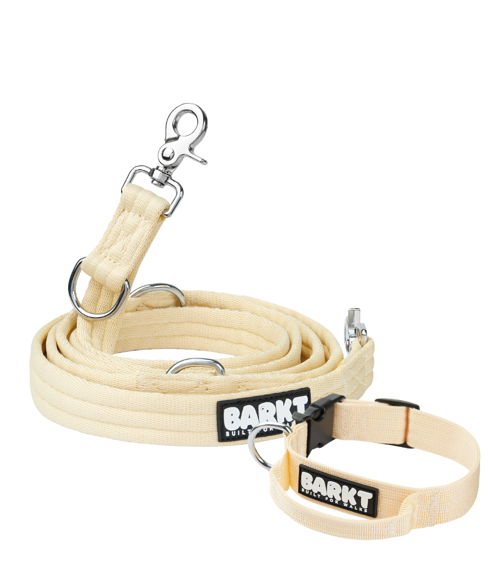 The Barkt Set - Collar & Lead