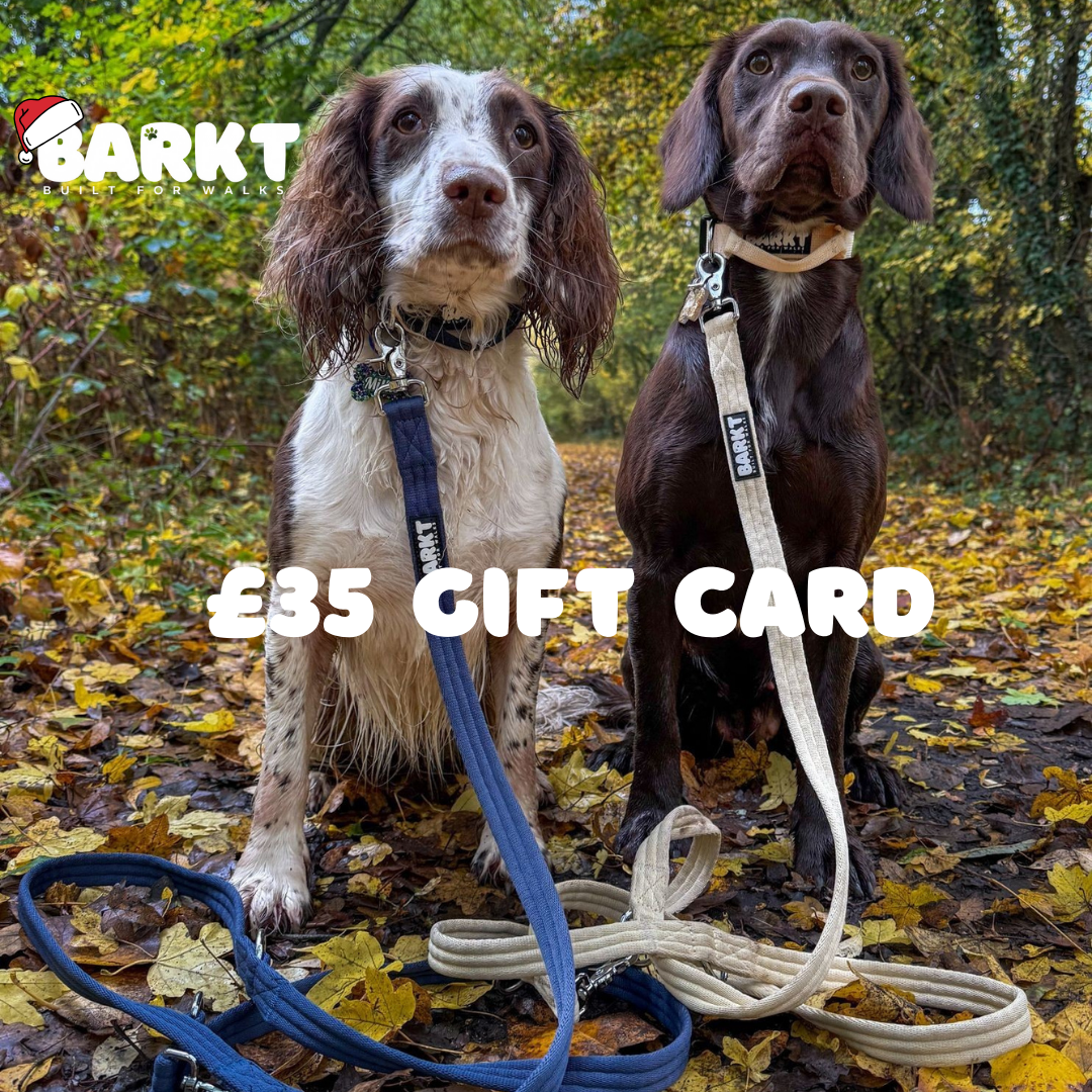 ❄️The Barkt Christmas Gift Cards