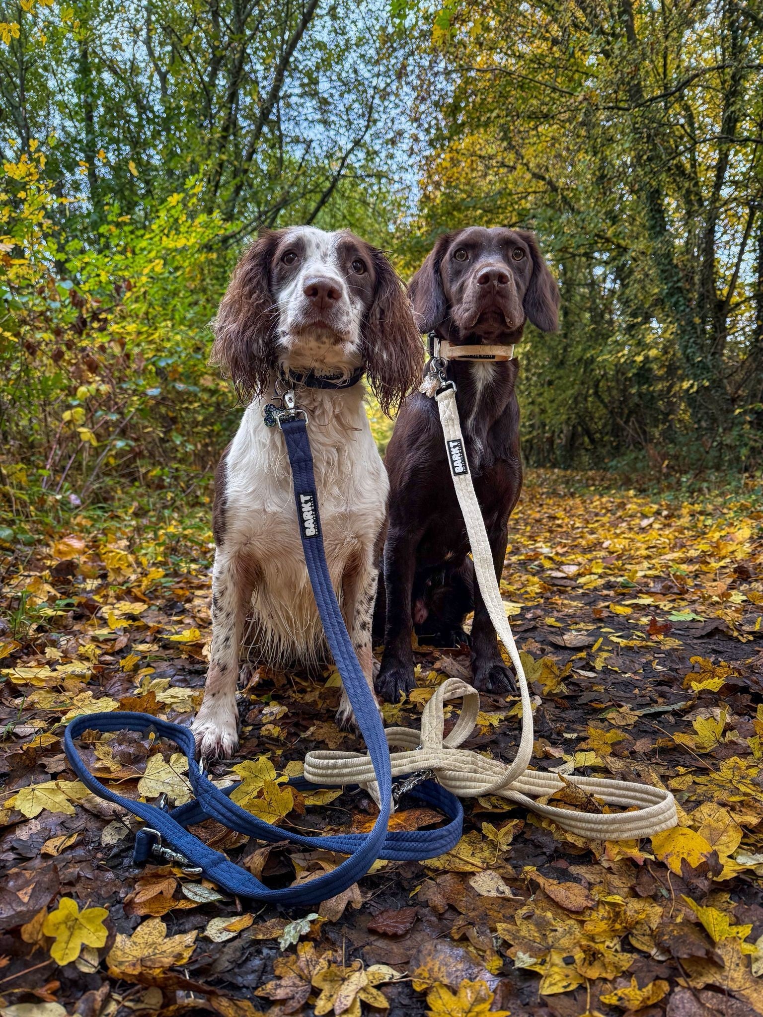 Barkt Double-Ended Lead 2.1m Length